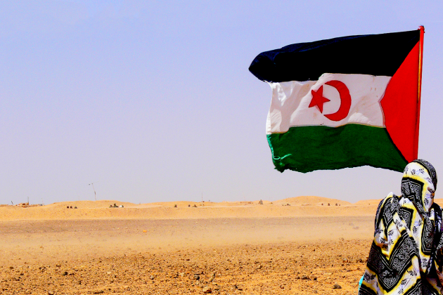 Western Sahara flag flying in the desert