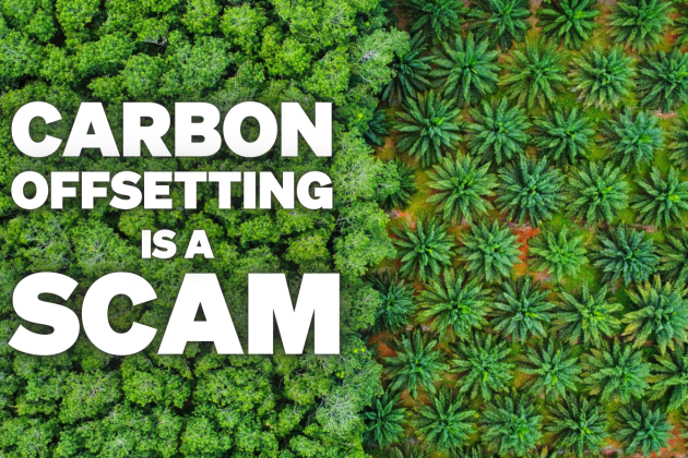 An image showing green fields with text over it that says 'Carbon offsetting is a scam'