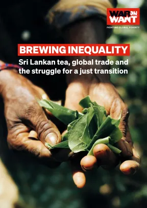 The front cover of the briefing has a photo of a pair of hands holding a crop. The title of the briefing is bolded in red. The War on Want logo is in the top right hand corner.