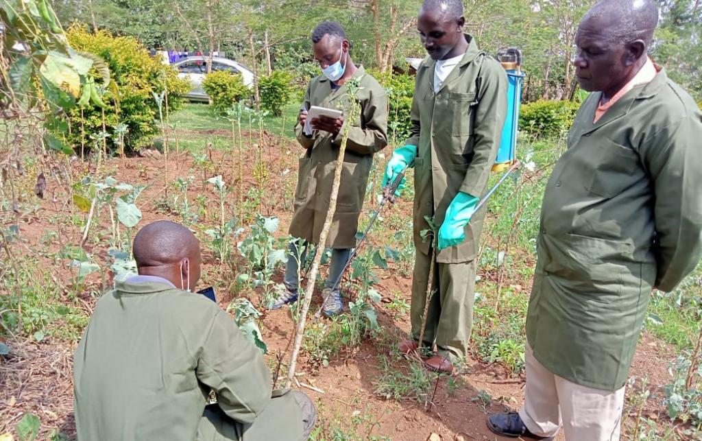 KPL testing pesticides