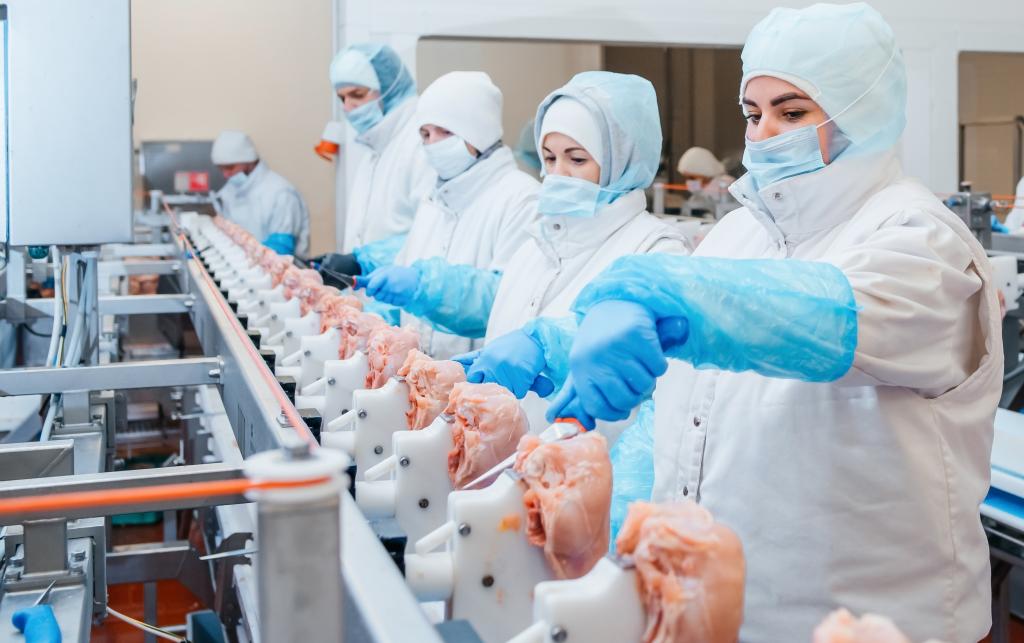 Workers in UK poultry processing factory