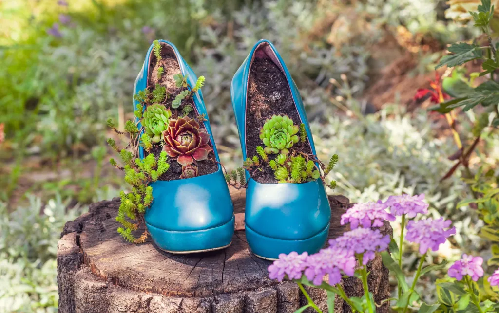 Worn out blue second-hand stilettos upcycled into eco-friendly planters.