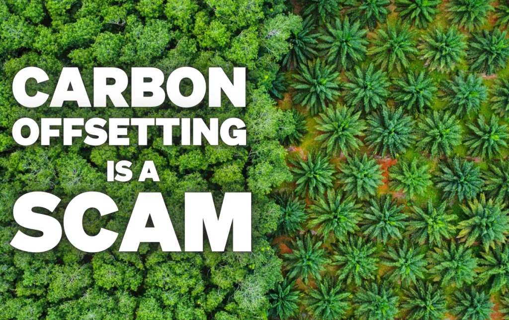 An image showing green fields with text over it that says 'Carbon offsetting is a scam'