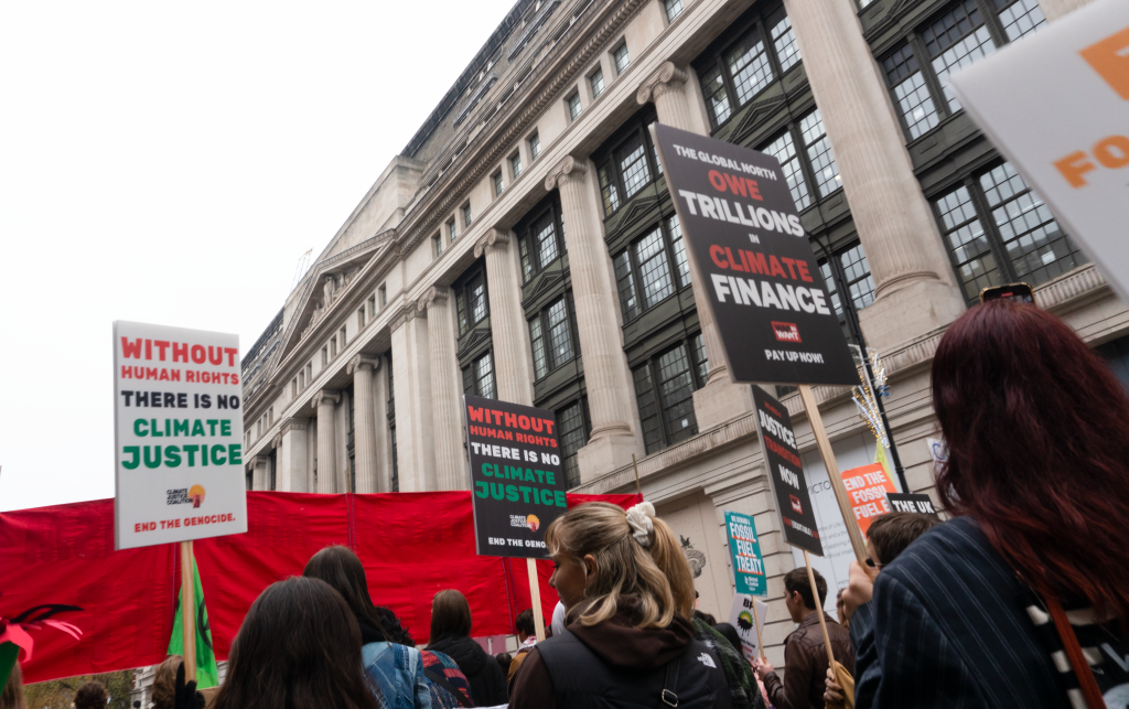 People walking in a crowd, holding placards