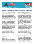 Adidas briefing.pdf