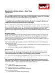 Bangladesh building collapse briefing.pdf