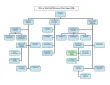 Staff Structure Chart SCPMS Aug 2026.pdf