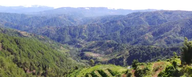 A green landscape, showing Honduran highlands vegetable production.
