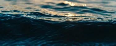 A close up of a gentle wave