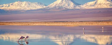 The Atacama Desert and the glacier under threat from mining. Photo: Delpixe