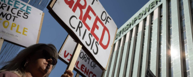 A person attending a protest. They are holding a protest sign which reads: "Cost of greed crisis".