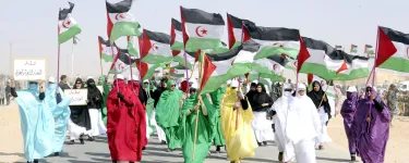 6 people hold Western Saharan flags at the front of a group of people