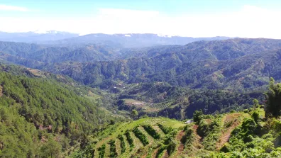 A green landscape, showing Honduran highlands vegetable production.