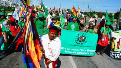 La Via Campesina at COP16